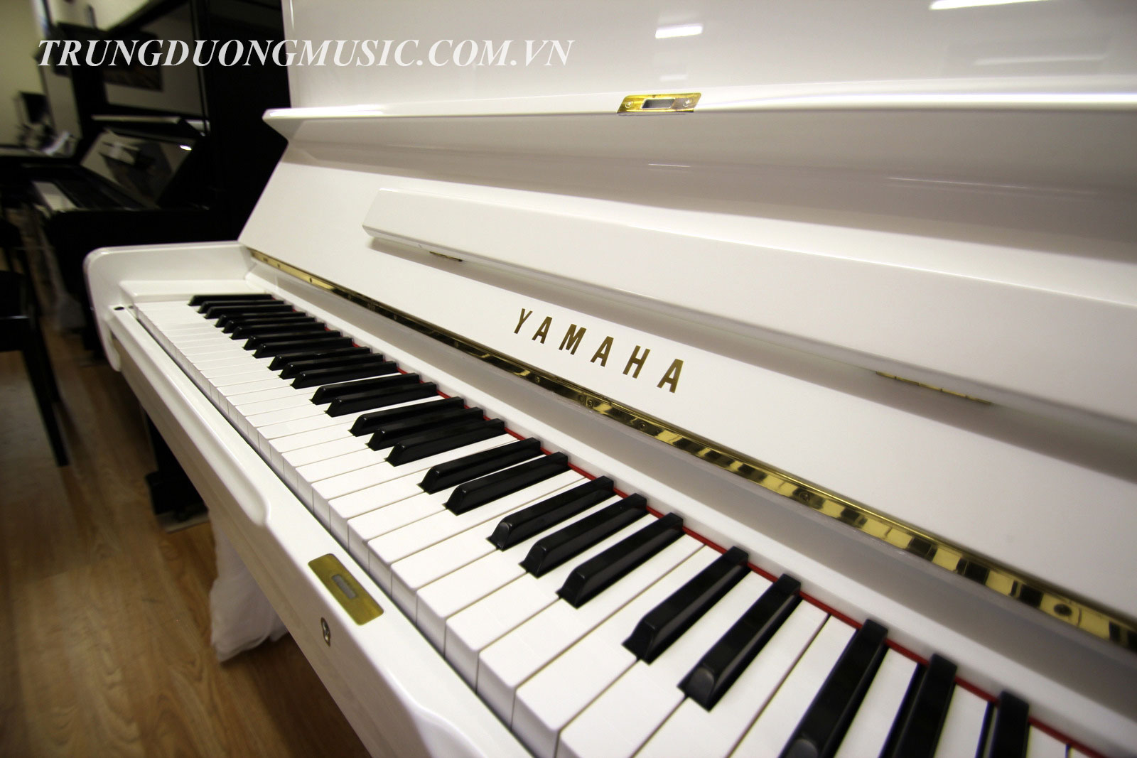 Cho bạn nơi bán đàn piano yamaha lựa chọn phù hợp sử dụng.