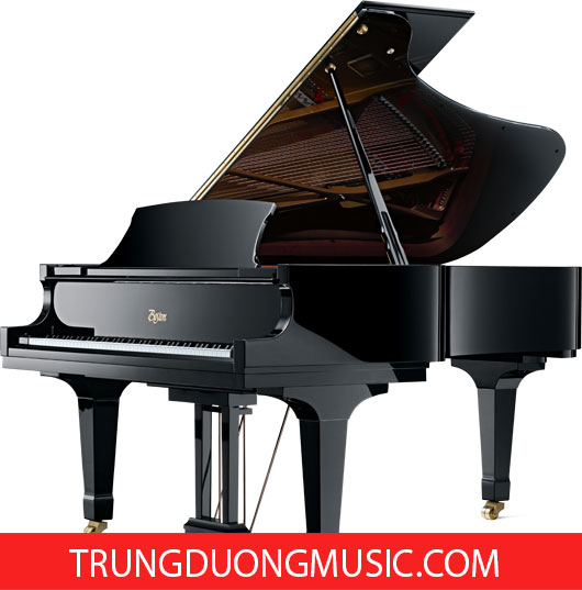 Cho bạn chọn lựa nơi uy tín chất lượng bán đàn piano tại trùng dương music.